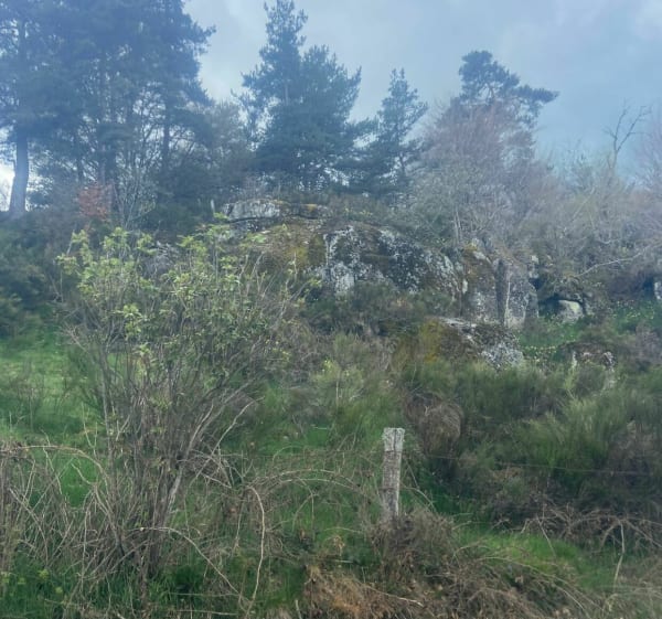 Au seuil de l’Aubrac. La Fages-Saint-Julien - La Fage-Saint-Julien - 1