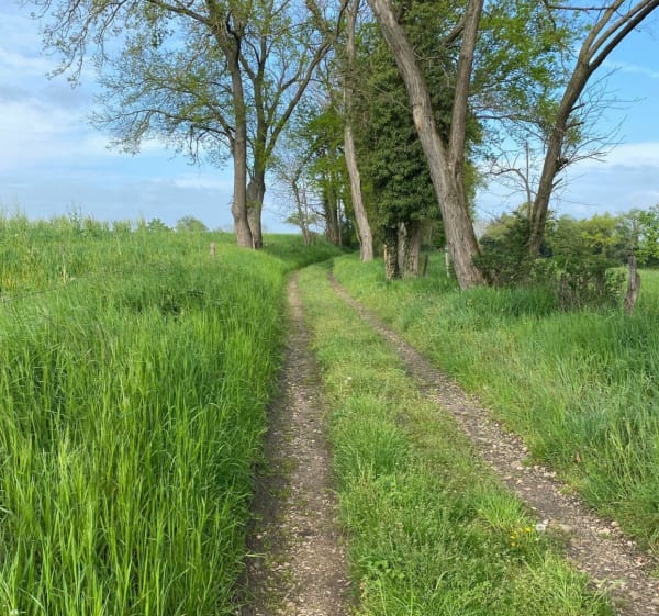 Courte balade en passant par le bois de La Perelle - Vougy - 1