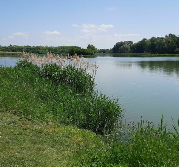 Châteaux et plans d'eau depuis Limoise - Limoise - 1