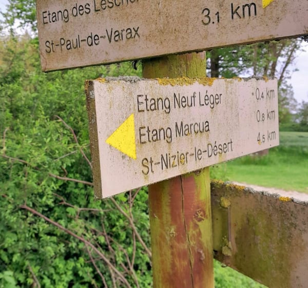 Etang des Léchères et Saint-Paul-de-Varax - Saint-Paul-de-Varax - 1
