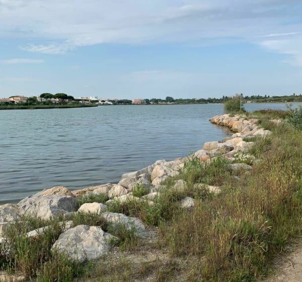 Jolie balade à VTC aux alentours de Port Camargue - Le Grau-du-Roi - 1