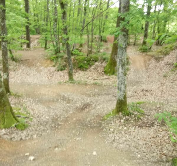 Boucle entre les vignes et les bois au-dessus d'Azé - Fleurville - 1