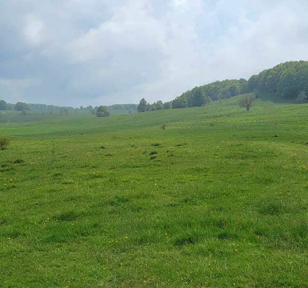 Le Plateau de Retord - Du parking de la Raymond à la ferme Le Tumet. - Valserhône - 1