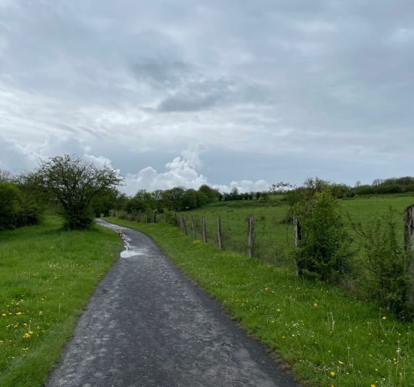 Sentier des oiseaux au Val Joly - Eppe-Sauvage - 1