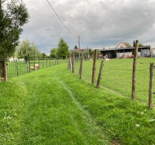 Jolie balade entre Bilheux, Theuvy et Chêne Chenu - Tremblay-les-Villages - 1