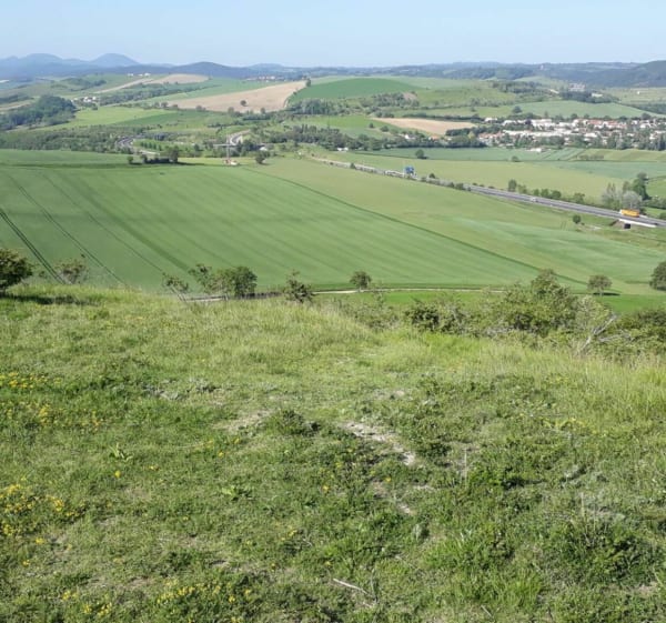 Balade VTT entre Limagne, Puy de Loule et bois de Prompsat - Ennezat - 1