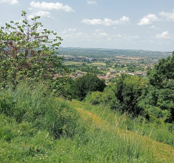 Du Mont Pujols au barrage de Villeneuve-sur-Lot - Pujols - 1