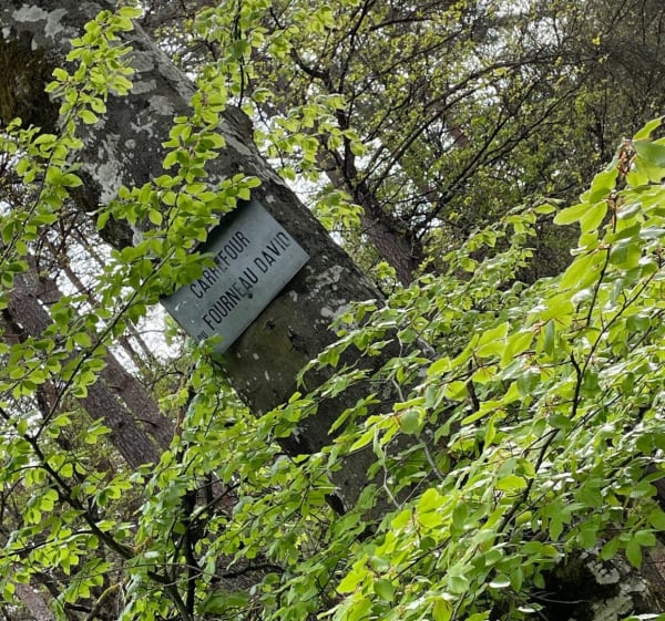 Gorges d Appremont - Fontainebleau - 1
