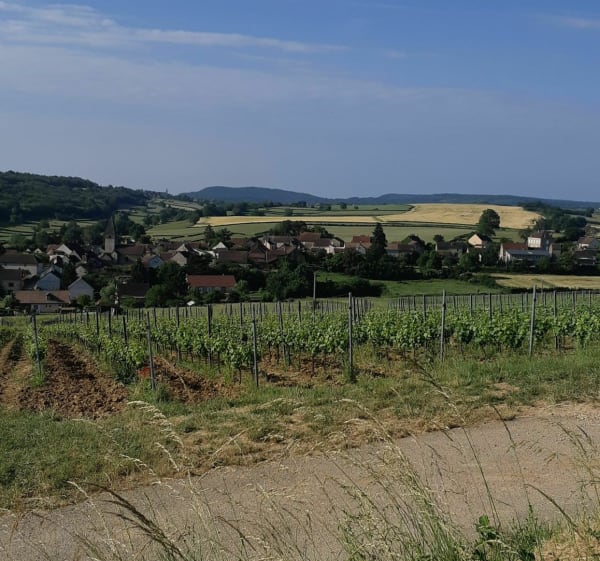 Balade depuis Chamilly - Chamilly - 1