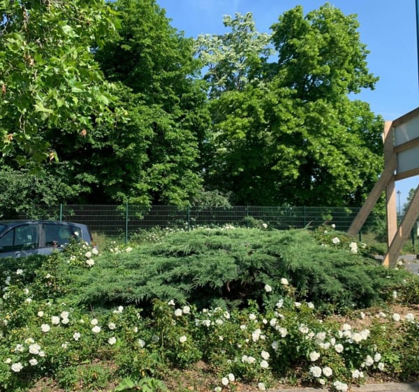 Rond de Seine van het Pierre Lagravère-park tot de Pont de Bezons - Colombes - 1