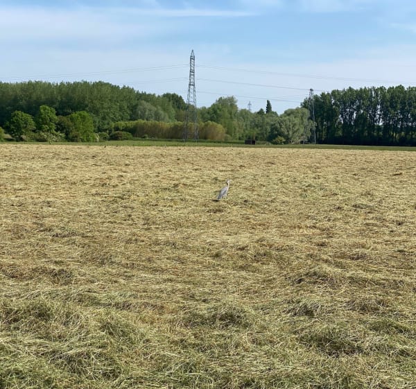 De Ascq aux fermes du Héron à VTC - Villeneuve-d'Ascq - 1