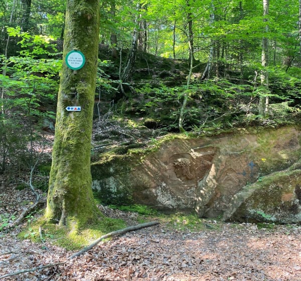 Boucle Neuwiller-lès-Saverne - La Petite-Pierre - Neuwiller-lès-Saverne - 1