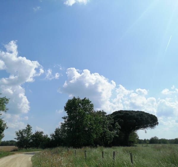 Boucle des trois communes - La Boissière-des-Landes - 1