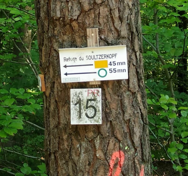 Soultzerkopf / Pfaffenschlick par Petit-Wingen - Preuschdorf - 1