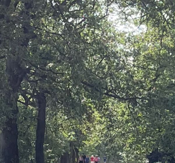 À vélo ou à pied par Le Canal de Perpignan - Pollestres - 1