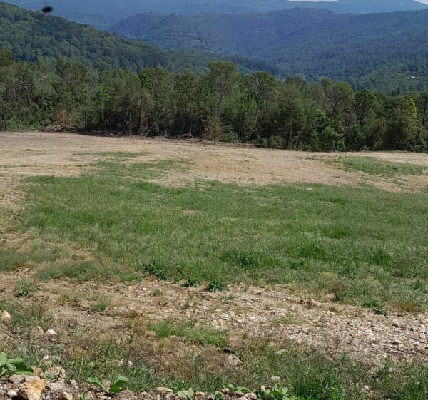 Entre vestiges et forêt à Figanières - Figanières - 1
