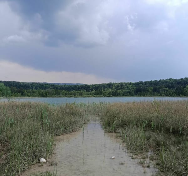 Tour langs het meer van Clairvaux - Clairvaux-les-Lacs - 1