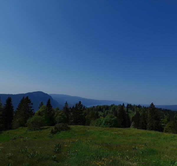 Mont d' Or et bornes frontières - Longevilles-Mont-d'Or - 1