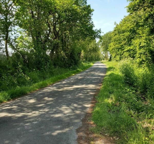 Balade à la Boissière dans les petits chemins - La Boissière-de-Montaigu - 1