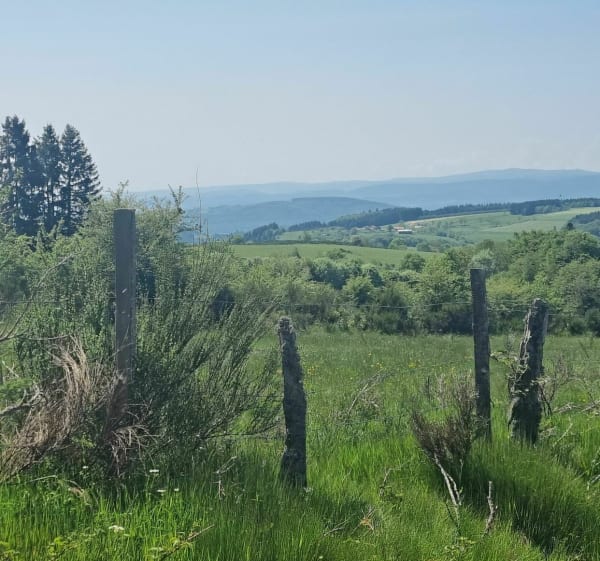 Randonnée pentes & côtes à Moulins-Chérier - Cherier - 1