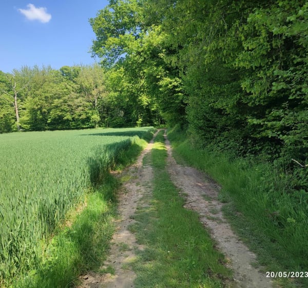 Les 2 chapelles au Hamel - Le Hamel - 1