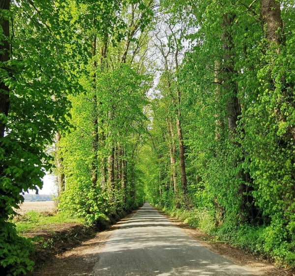 Le sentier du Loup - Berlencourt-le-Cauroy - 1