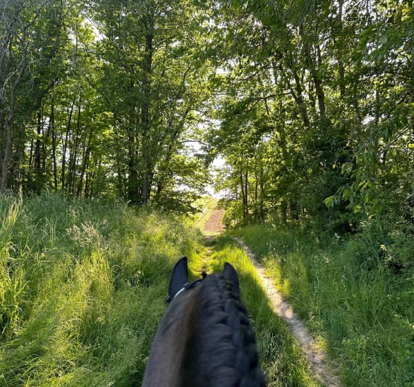 Balade champêtre au Val-Saint-Germain - Saint-Cyr-sous-Dourdan - 1