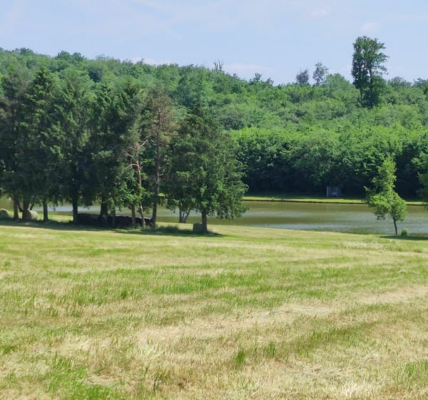 Balade à Hagenbach - Hagenbach - 1