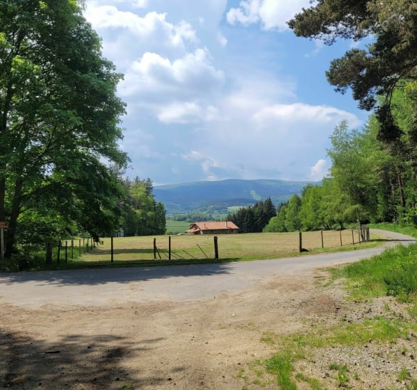 De Chavassoux à Chalmazel à VTT - Saint-Just-en-Bas - 1
