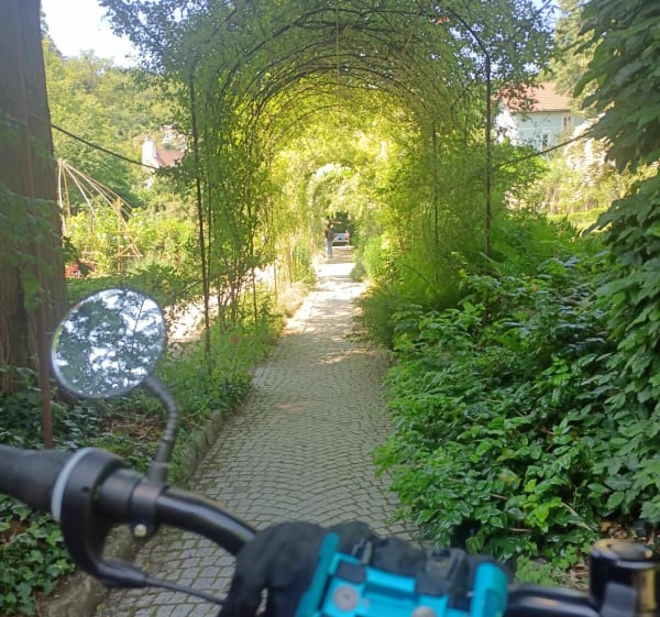 Charmante visite à l'Île Verte et l'Arborètum - Châtillon - 1