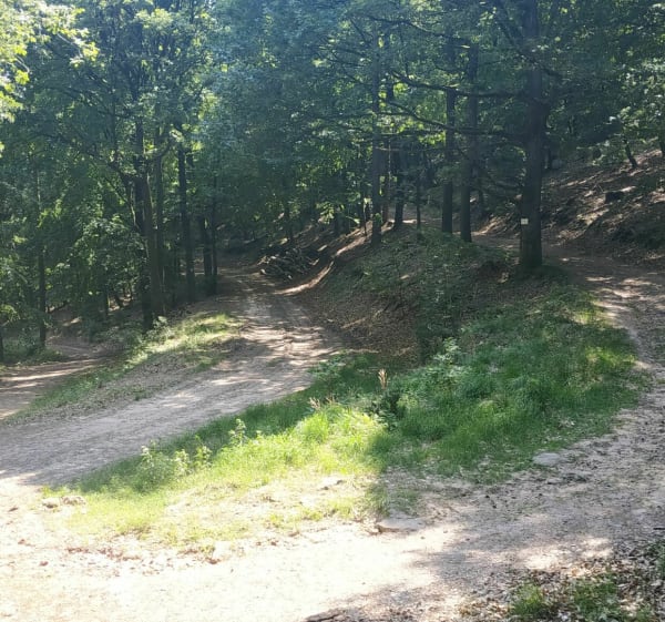 Aux 3 fontaines. Entre Lembach, Climbach Pfaffenbronn - Preuschdorf - 1