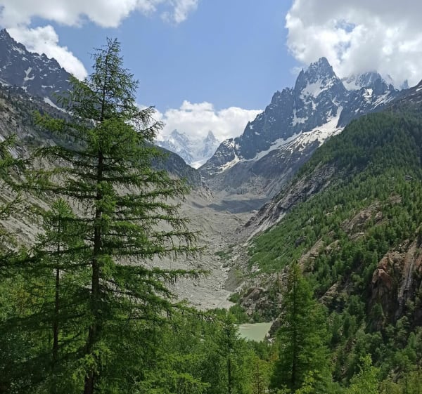 De Chamonix au point de vue de la Mer de Glace par le Chapeau - Chamonix-Mont-Blanc - 1