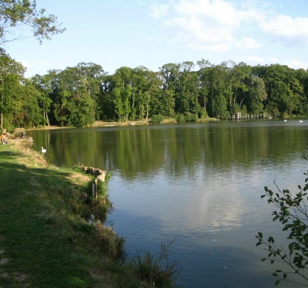 Les étangs du val Maubuée et de la vallée de la Brosse - Noisiel - 1