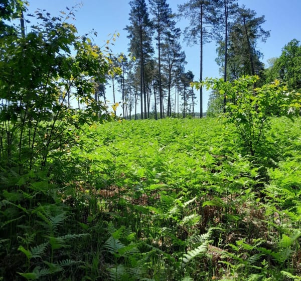 Promenade entre Lacroix et Saint-Sauveur - La Croix-Saint-Ouen - 1
