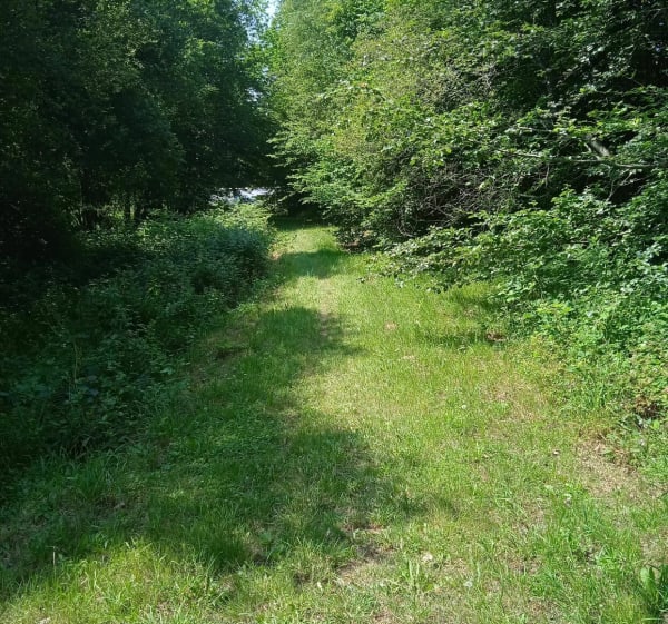Balade printanière et estivale de Kernot à Sainte Barbe - Le Faouët - 1