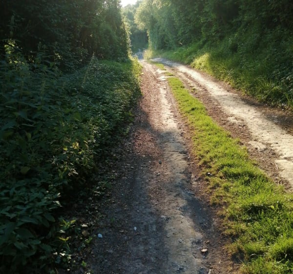 Chemin de Compiègne, Le Larry de Fignieres par le Brûle - Davenescourt - 1