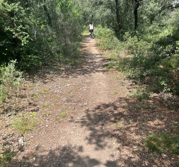 Petite balade dans les Alpilles proche d’Eygalieres - Saint-Rémy-de-Provence - 1