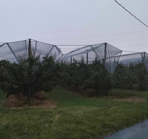 Belle balade entre viarhona et arbres fruitiers. - Pont-de-l'Isère - 1