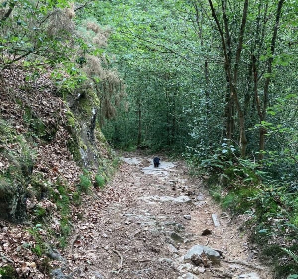 Balade autour de La Vère - Athis-Val-de-Rouvre - 1