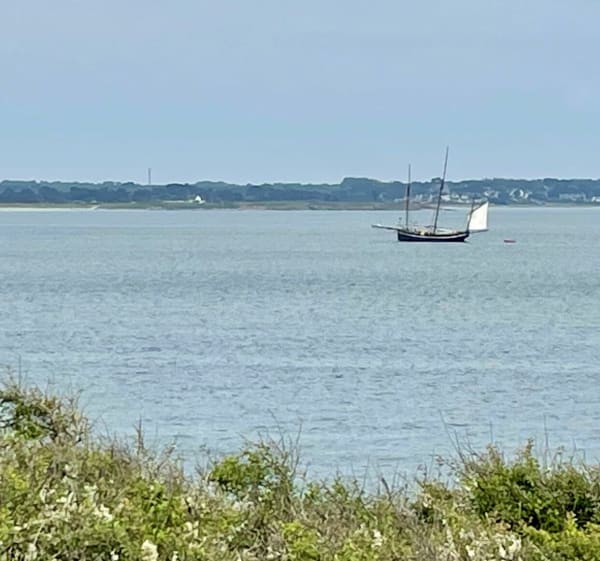 Balade au Petit Mont dans le Morbihan - Arzon - 1