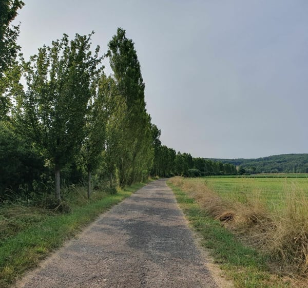 Balade entre le Jura et le Doubs pour retrouver l'Ognon - Jallerange - 1
