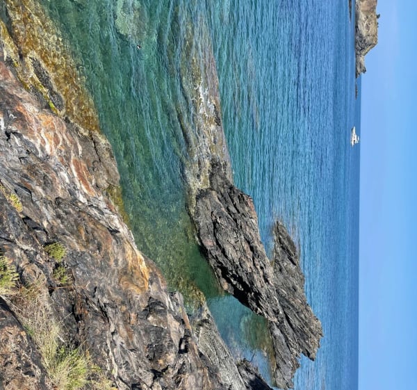 Sentier du littoral à Banyuls-sur-Mer - Banyuls-sur-Mer - 1