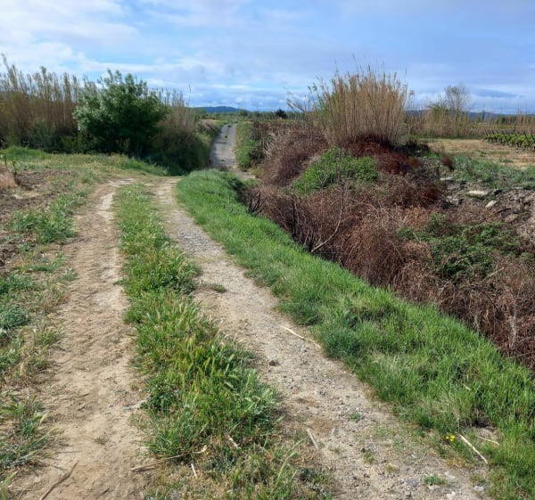 La quotidienne à Beaufort - Beaufort - 1