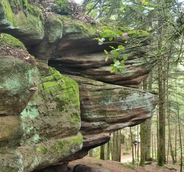 Roches de Pointhaie - Bruyères - 1