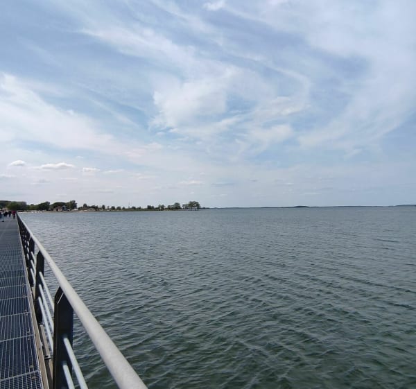 Sortie à vélo depuis Louvement jusqu'au lac du Der - Jennifer - 1