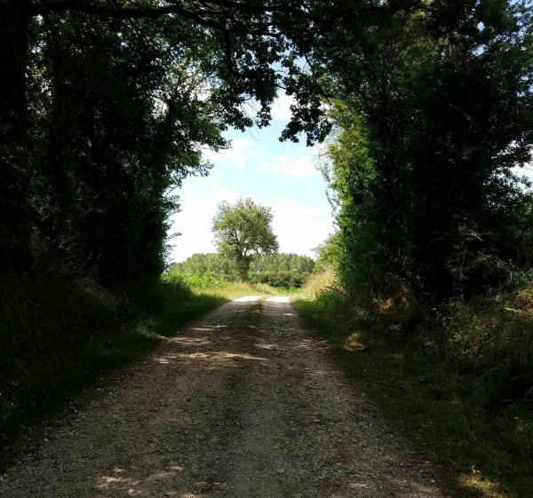Balade autour de Heugnes - Heugnes - 1