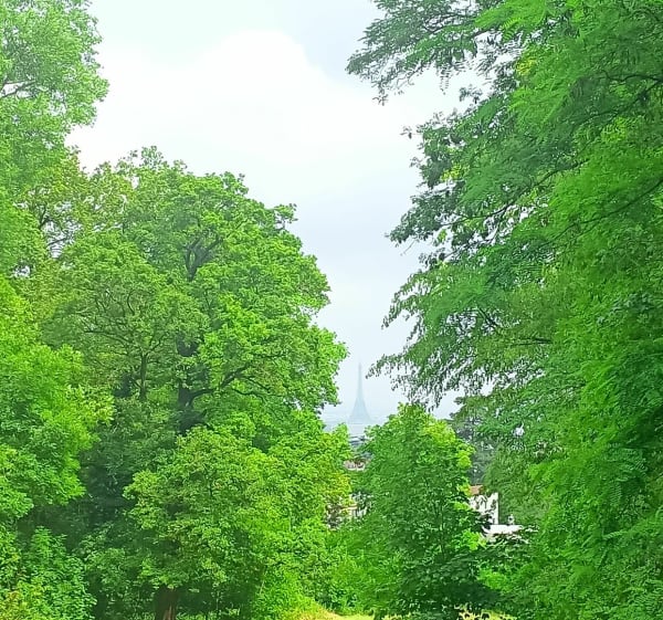 Montée au Fort de Châtillon et Bois de Clamart - Montrouge - 1