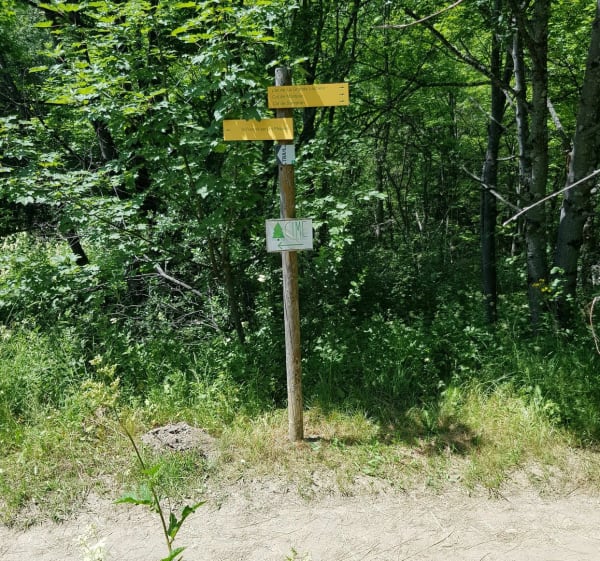 Sentier des Pâquiers à Saint-François-Longchamp - Saint-François-Longchamp - 1