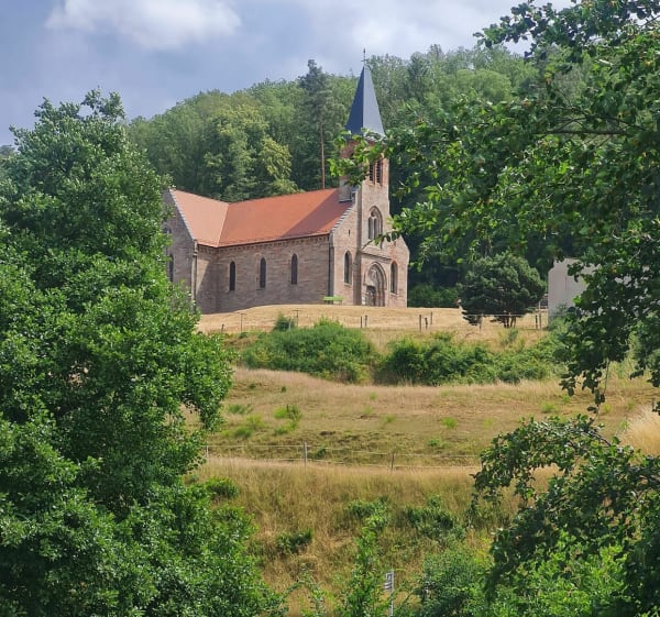 Autour de l'étang de Mouterhouse - Mouterhouse - 1