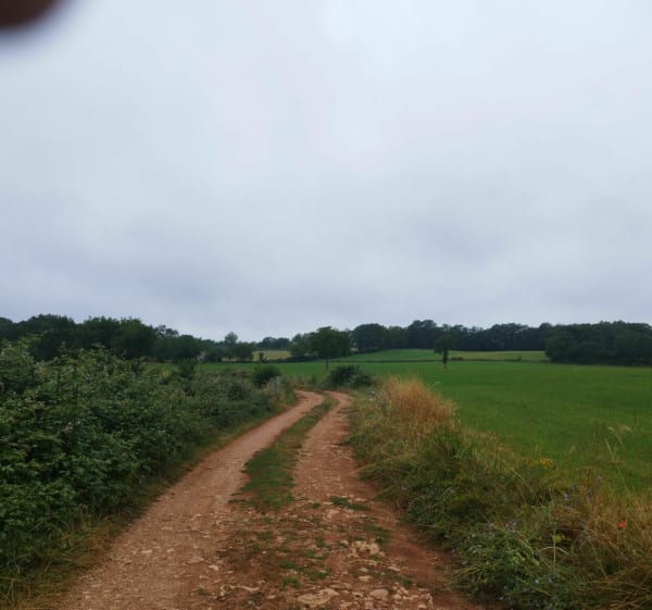 Vialars à VTC - Laramière - 1